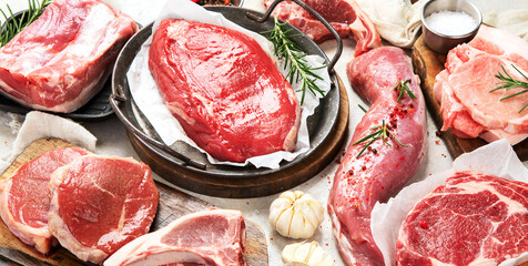 Assortment of raw meats on grey background.