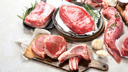 Assortment of raw meats on grey background.