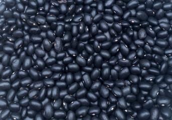 Photo of many seeds of fresh beautiful organic black bean in flat laying taken for use as background or texture in art decoration work