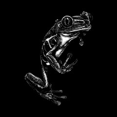 Red-Eyed Tree Frog hand drawing vector isolated on black background.