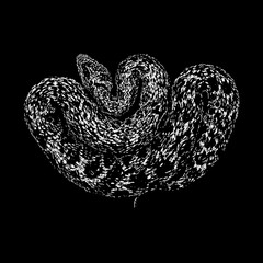 Saw-scaled viper hand drawing vector isolated on black background.