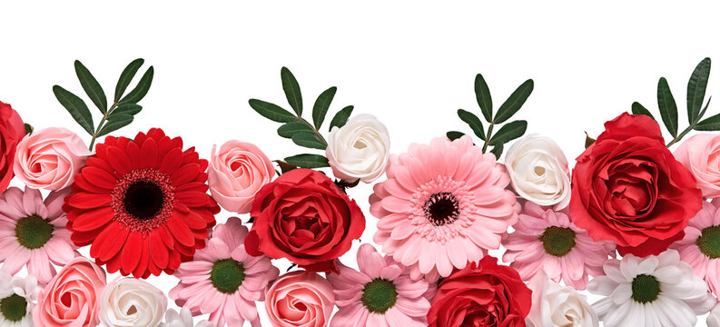 Floral composition of roses and gerberas on transparent background. Arrangement of beautiful flowers