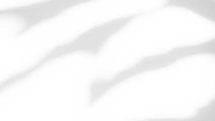 Abtract Overlay Shadow Leaves on Grey Cement Background,Texture Surface Design Vintage Styles Backdrop,Mock Up Free Space Marble Stone Display,Interior Autune Wall Room,Blur White Wall Loft Empty Gray