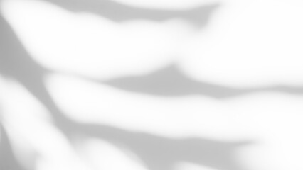 Obraz premium Abtract Overlay Shadow Leaves on Grey Cement Background,Texture Surface Design Vintage Styles Backdrop,Mock Up Free Space Marble Stone Display,Interior Autune Wall Room,Blur White Wall Loft Empty Gray