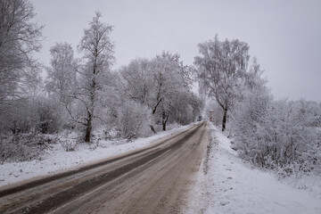 Obraz na płótnie Canvas clean wet asphalt road in wintertime. Dirty snow on road sides. Long far perspective. Latvia landscape near Jelgava town. Bypass road 