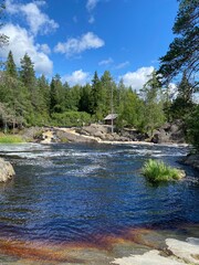 mountain river in the forest