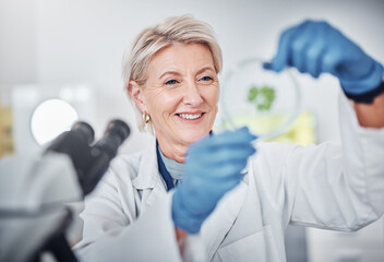 Science, research and plants sample with a doctor woman at work in a biological lab for innovation...