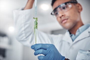 Scientist, test tube and plant analysis working in laboratory for science innovation, agriculture...