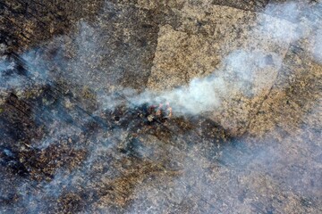 Fires burning through dry forest near Kirindy