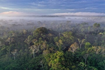 Sunrise over the Amazon