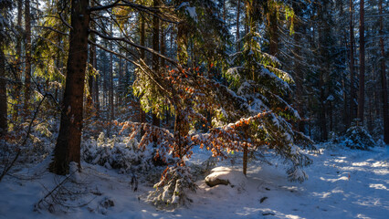 green meets orange - Grün trifft Orange