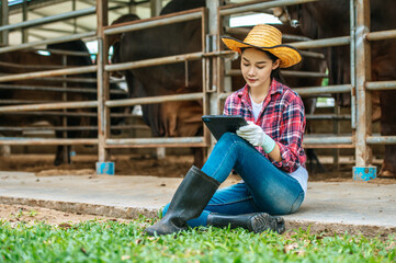 Asian young farmer woman sitting while working with tablet pc computer and cows in cowshed on dairy farm. Agriculture industry, farming, people, technology and animal husbandry concept.