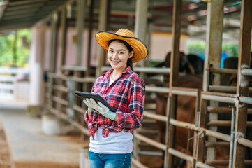 Happy Asian young farmer woman with tablet pc computer while standing and looking at camera on dairy farm. Agriculture industry, farming, people, technology and animal husbandry concept.