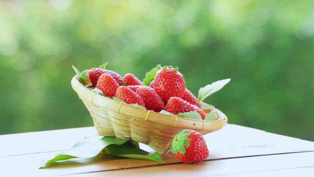 Red strawberry in wooden basket on blurred greenery background, Red Korean Strawberries on wooden table in garden.