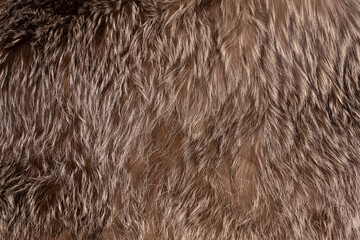 テクスチャ―　毛皮（シルバーフォックス）　texture of brown fox fur