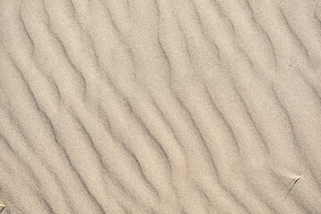 Fototapeta na wymiar 모래에 바람이 만든 파도 무늬