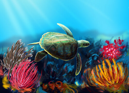 Digital painting of a turtle.
