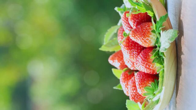 Fresh strawberries in wooden basket on green bokeh background,  Red strawberries Pine berry or Hula strawberry on nature background.