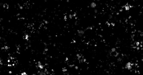 Random flashing and glittering white lights on black background	