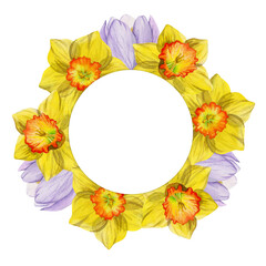 Watercolor hand drawn circle wreath with spring flowers, daffodils, crocus, snowdrops, leaves. Isolated on white background. Design for invitations, wedding, greeting cards, wallpaper, print, textile.