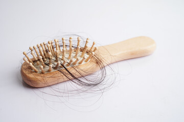 Hair loss fall with comb brush isolated on white background.
