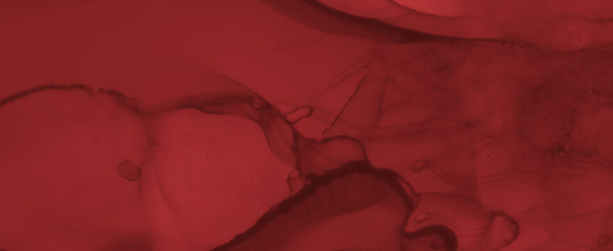 Abstract Blood Background. Rose Ink Banner.