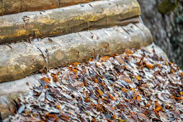 Extension of autumn on wooden roof
