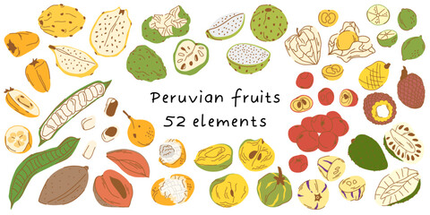 Big set of illustrations of 52 elements. peruvian fruit in peel and cut isolated on white