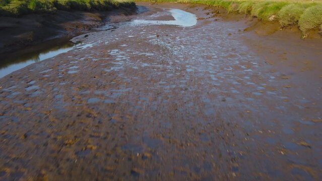 Very Low Aerial Drone Shot Flying Over Green Salt Marsh at Low Tide Revealing Whole Salt Marsh in North Norfolk UK