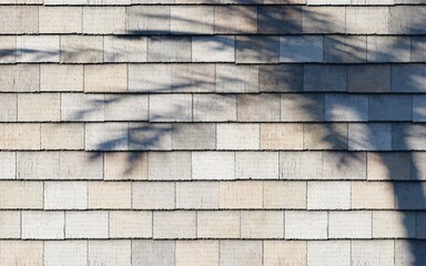 stone wall background texture background wallpaper concept 3d render illustration abstract shadow tree sunset sunlight 