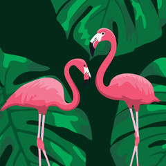 Illustration of two flamingos on the background of monstera leaves. Romantic mood. Flamingos in the jungle