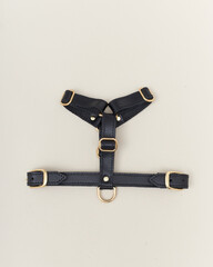 Collage isolated set of leather straps belts accessories collars leashes with rivets for dog pet