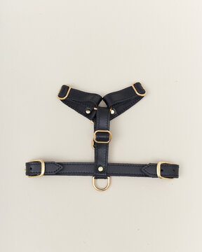 Collage isolated set of leather straps belts accessories collars leashes with rivets for dog pet