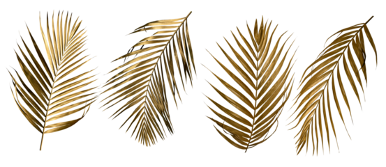 Golden palm leaf PNG on transparent background Abstract monstera leaf decoration design, PNG