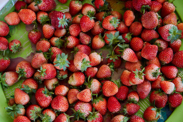 Fresh ripe strawberries in a bowl