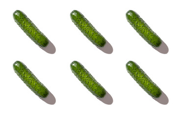 pimply fresh cucumbers isolated on white background. natural farm product. Without GMO.