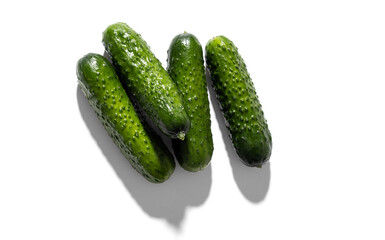 pimply fresh cucumbers isolated on white background. natural farm product. Without GMO.