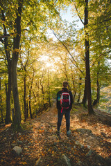 Obraz premium Young adventurer enjoys the last shreds of warm sunset light in a deciduous forest tinged with autumn vibes. October and November. Domasinsky meander, Zilinsky region, Slovakia