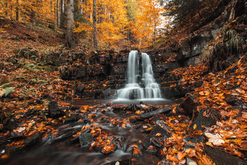 Wonderful cascading waterfall Bystry covered and surrounded by autumn leaves and trees glowing orange-red at the village Čeladná in the heart of Beskydy mountains, Czech republic - obrazy, fototapety, plakaty