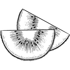 Hand drawn Kiwi Fruit Sketch Illustration