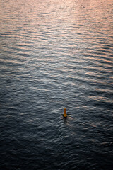 Buoy in the river