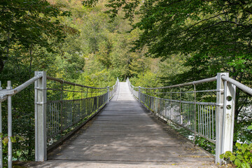 isonzo bridge in srpenica