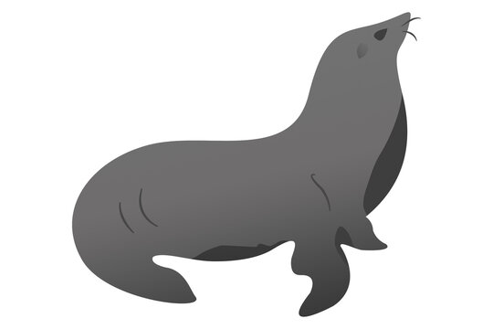 seal cartoon isolated on transparency background