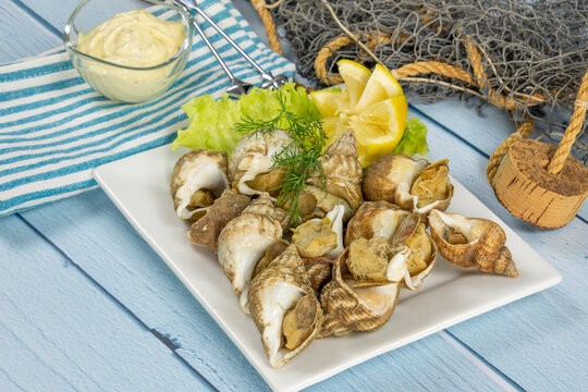 assiette de bulots en gros plan