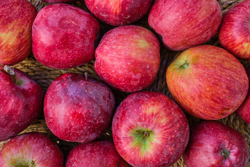 Red ripe apples on a straw substrate, seasonal farm products, fruit harvest, top view of organic products in a store, idea for a background