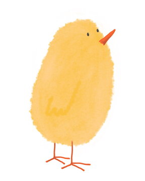 Hand drawn illustration of a little yellow baby chicken isolated on a white background. Clipart of a character for cute children design.