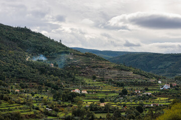 Fototapeta na wymiar Centuries-Old Terraced Agriculture in the Serra da Estrela Mountains, Portugal