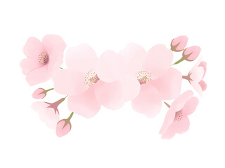 Fototapeta na wymiar リアルな桜の花びらの水彩イラスト　透過