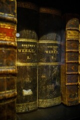 Zwei sehr alte Bücher von Johann Wolfgang von Goethe in dem seine WErke gesammelt sind.