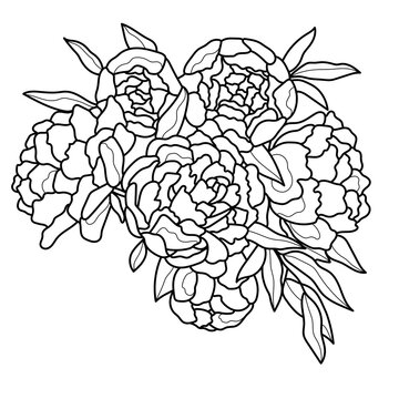 Bouquet of flowers. Peonies. Black and white vector image. Coloring.